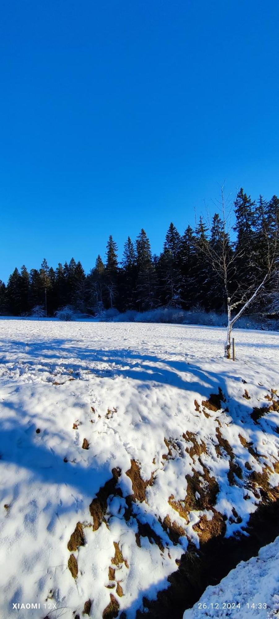 Schicke Ferien Wohnung Mit Tollem Ausblick In Schwarzwald. Филлинген-Швеннинген Экстерьер фото